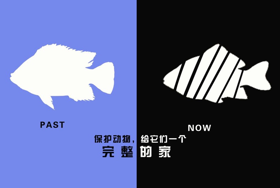 廣告設計制作有哪些要求？有哪些注意事項？
