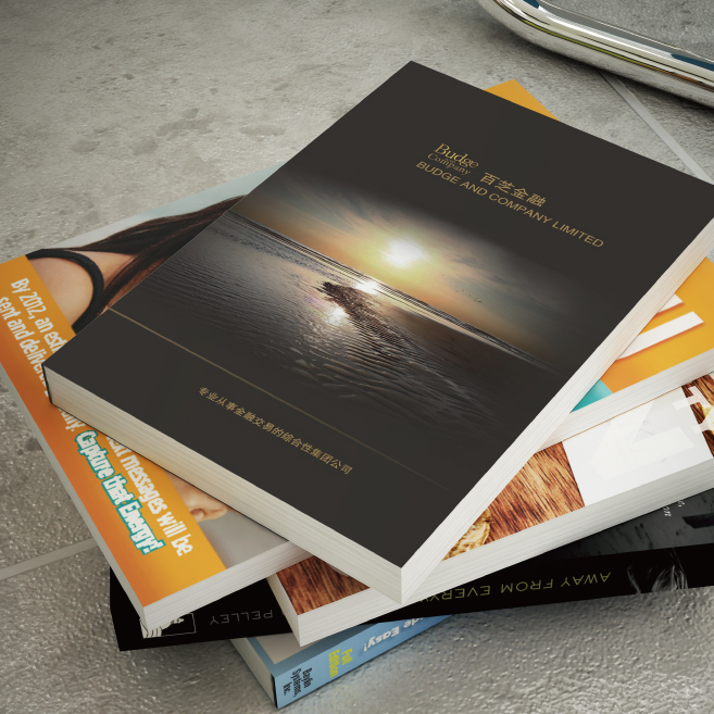設(shè)計一P 多少費用？設(shè)計一本畫冊設(shè)計費用是多少錢？廣州做一本畫冊需要多少錢？