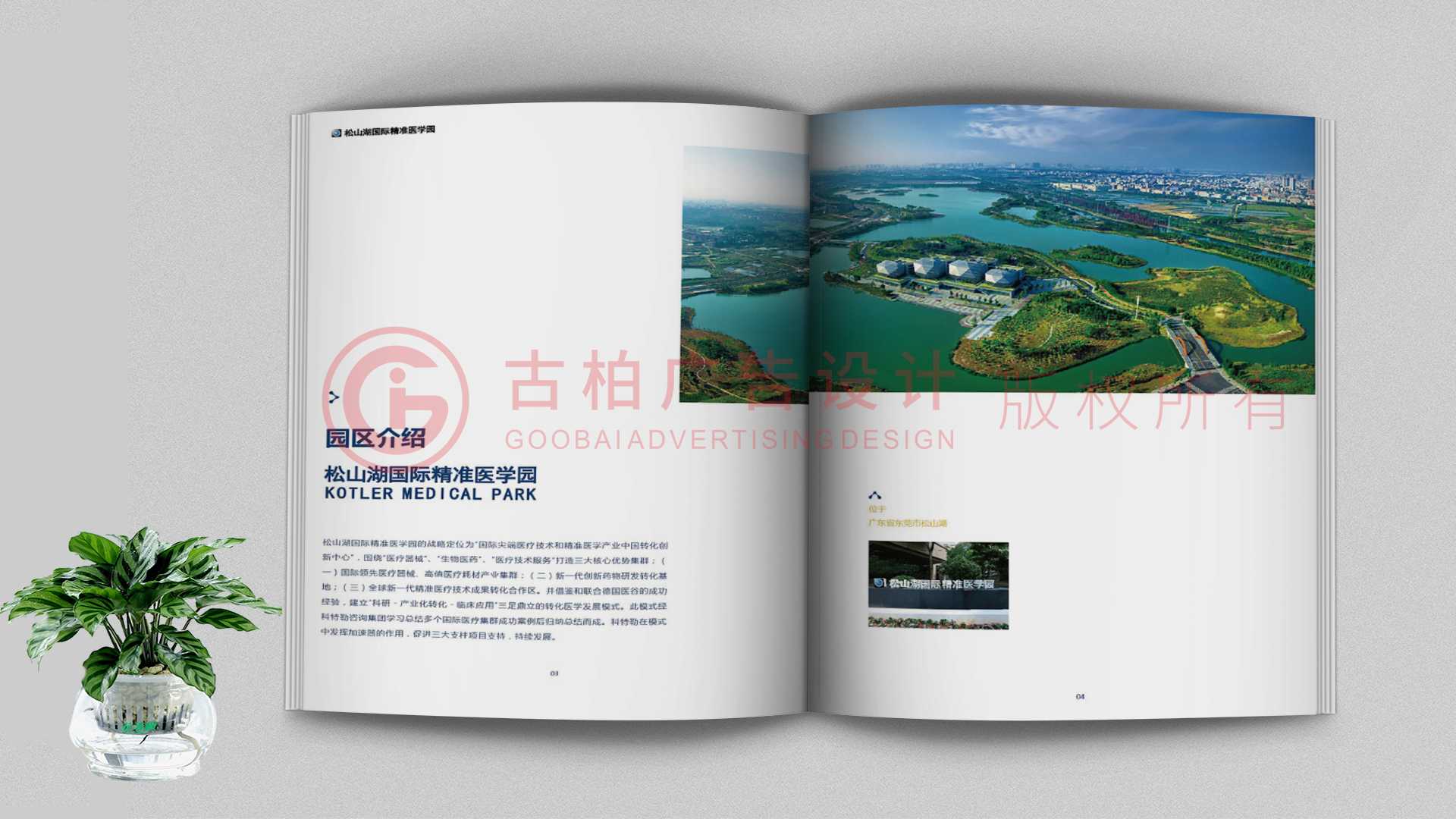 一本聚會(huì)紀(jì)念冊(cè)該如何通過排版來提升整體的美觀性？
