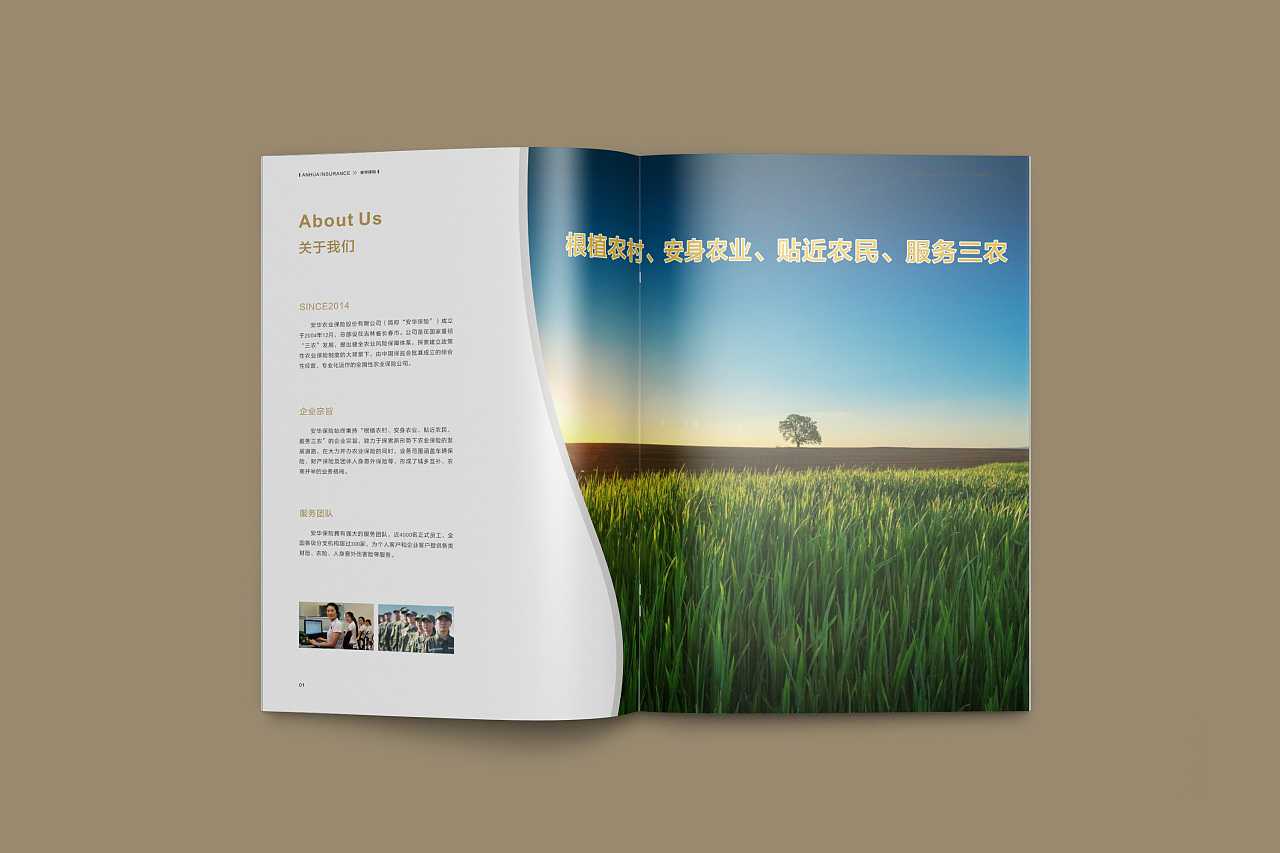 成都企業(yè)為什么要選擇高端宣傳冊設(shè)計公司呢？