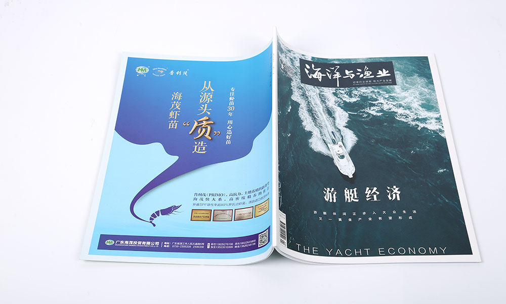 創(chuàng)意宣傳冊(cè)設(shè)計(jì)做多久？